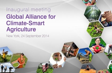 Inaugural CSA alliance meeting