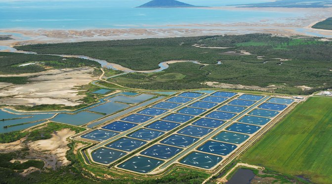 Is sustainable aquaculture our next growth industry?