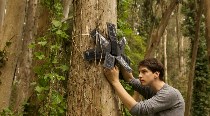 What can save the rainforests? Your used mobile phone