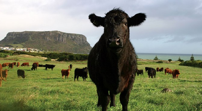 Tasmania’s ‘big data’ project is building sustainable economies