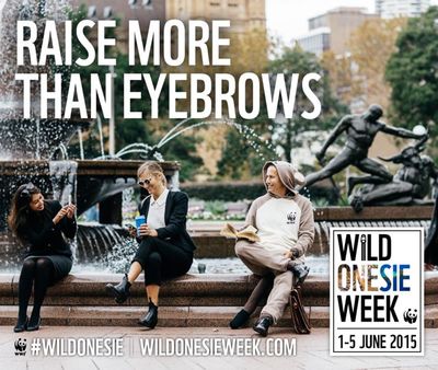 D_Universal-Ad-Package_2MB_static-thumb-400x338-184021